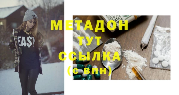 индика Няндома