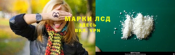 индика Няндома