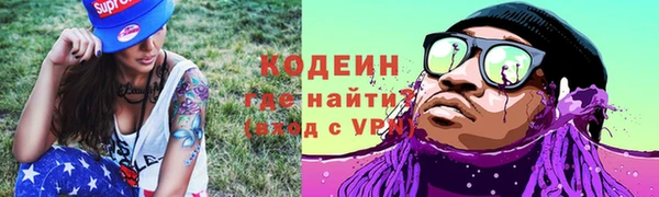 индика Няндома