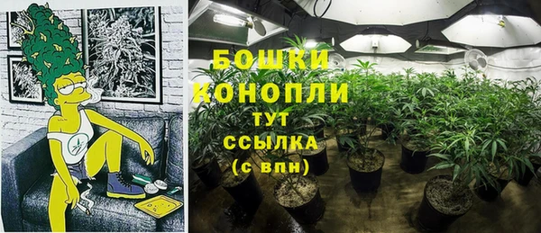 индика Няндома