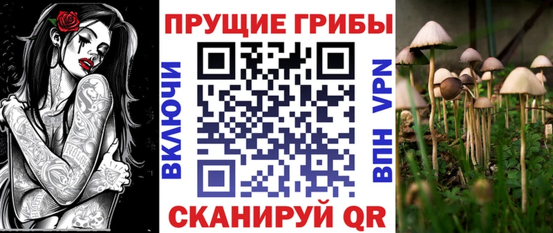 Галлюциногенные грибы Cubensis  хочу   Железноводск 